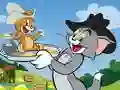 Spel Tom en Jerry Glijden online
