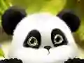 Spel Panda Glijden online Spel Panda Glijden online