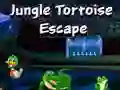 Spel Jungle Schildpad Ontsnapping online Spel Jungle Schildpad Ontsnapping online