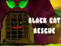 Spel Zwart Kat Redden online Spel Zwart Kat Redden online