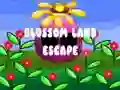 Spel Ontsnapping uit Bloesemland online Spel Ontsnapping uit Bloesemland online