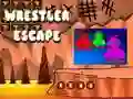 Spel Worstelaar Ontsnapping online Spel Worstelaar Ontsnapping online