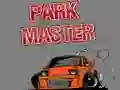 Spel Park Master online Spel Park Master online