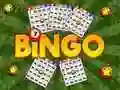 Spel Bingo Onthuld online Spel Bingo Onthuld online