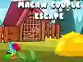 Spel Macaw Koppel Ontsnapping online