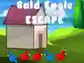 Spel Bald Eagle Ontsnapping online Spel Bald Eagle Ontsnapping online