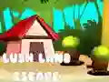Spel Ontsnapping uit het Weelderige Land online Spel Ontsnapping uit het Weelderige Land online