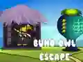 Spel Buho Uil Ontsnapping online Spel Buho Uil Ontsnapping online