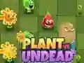 Spel Planten tegen Ondoden online