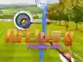 Spel Boogschieten Koning 3D online