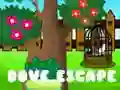 Spel Dove Ontsnapping online Spel Dove Ontsnapping online