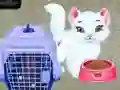 Spel Baby Taylor: Huisdierverzorging online Spel Baby Taylor: Huisdierverzorging online