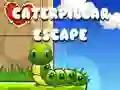 Spel Rups Ontsnapping online