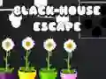 Spel Zwart Huis Ontsnapping online Spel Zwart Huis Ontsnapping online