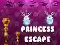 Spel Prinses Ontsnapping online