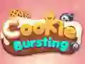 Spel Koekjes Versplinteren online Spel Koekjes Versplinteren online