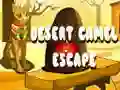 Spel Ontsnapping van de woestijnkameel online