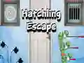 Spel Hatchling Ontsnapping online Spel Hatchling Ontsnapping online