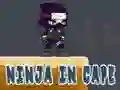 Spel Ninja in Cape online