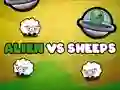 Spel Buitenlander vs Schapen online Spel Buitenlander vs Schapen online
