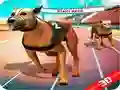 Spel Gekke Hond Rennen online Spel Gekke Hond Rennen online