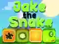 Spel Jake de Slang online