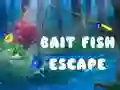Spel Ontsnapping van de Aasvis online Spel Ontsnapping van de Aasvis online