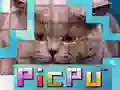 Spel PicPu Kat online