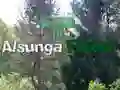 Spel Terug naar het Alsunga-bos online Spel Terug naar het Alsunga-bos online