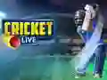 Spel Cricket Live online