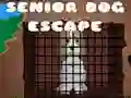 Spel Ontsnapping van de senior hond online