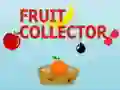 Spel Fruitverzamelaar online
