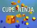 Spel Kubus Ninja online Spel Kubus Ninja online