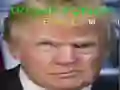 Spel Trump Grappig Gezicht online