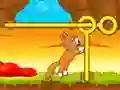Spel Red de Kitten online Spel Red de Kitten online