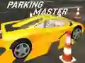 Spel Parkeer Meester online