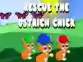 Spel Red de struisvogelkuiken online Spel Red de struisvogelkuiken online
