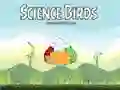 Spel Wetenschappelijke Vogels online