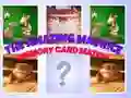 Spel De Verbazingwekkende Maurice Kaartmatch online