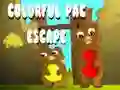 Spel Kleurrijke Pac Ontsnapping online