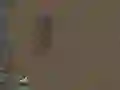 Spel Het Overleven online