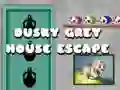 Spel Ontsnapping uit het Donkergrijze Huis online Spel Ontsnapping uit het Donkergrijze Huis online