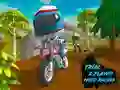 Spel Trial 2 Speler Moto Racing online
