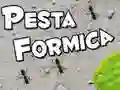 Spel Mierenfeest online Spel Mierenfeest online