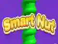Spel Slimme Noot online