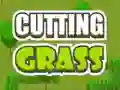 Spel Gras maaien online Spel Gras maaien online