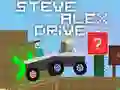 Spel Steve Alex Rijden online Spel Steve Alex Rijden online
