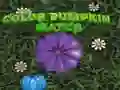 Spel Kleur Pompoen Wedstrijd online Spel Kleur Pompoen Wedstrijd online