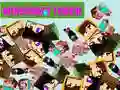 Spel Minecraft Aanraken online Spel Minecraft Aanraken online