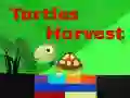 Spel Schildpad Oogst online